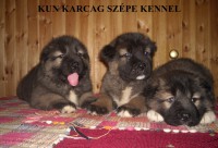 /album/almok/kau-6-hetsen-17-jpg/
